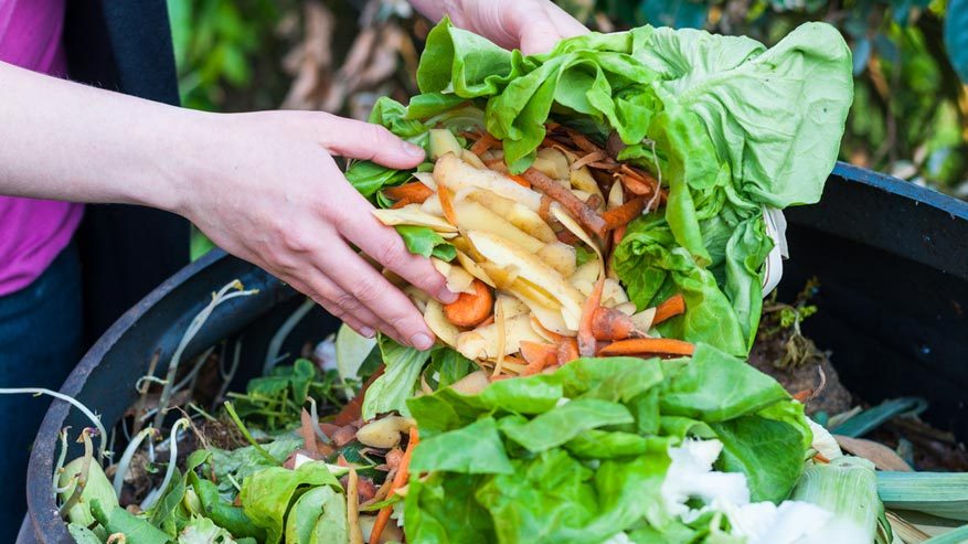 5 febbraio: Giornata nazionale dello spreco alimentare - Riciblog