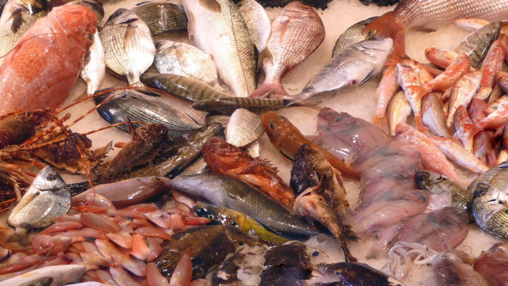 Salsa di pesce all'orientale riutilizzando gli scarti - Riciblog