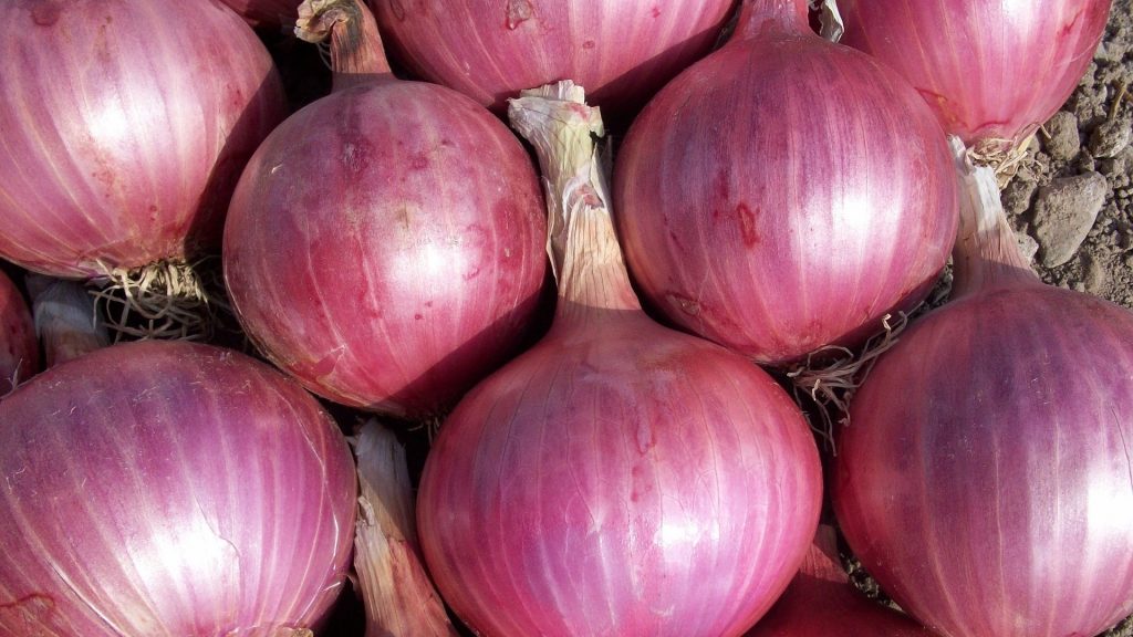 Francesina, ricetta del lesso rifatto con cipolle - Riciblog