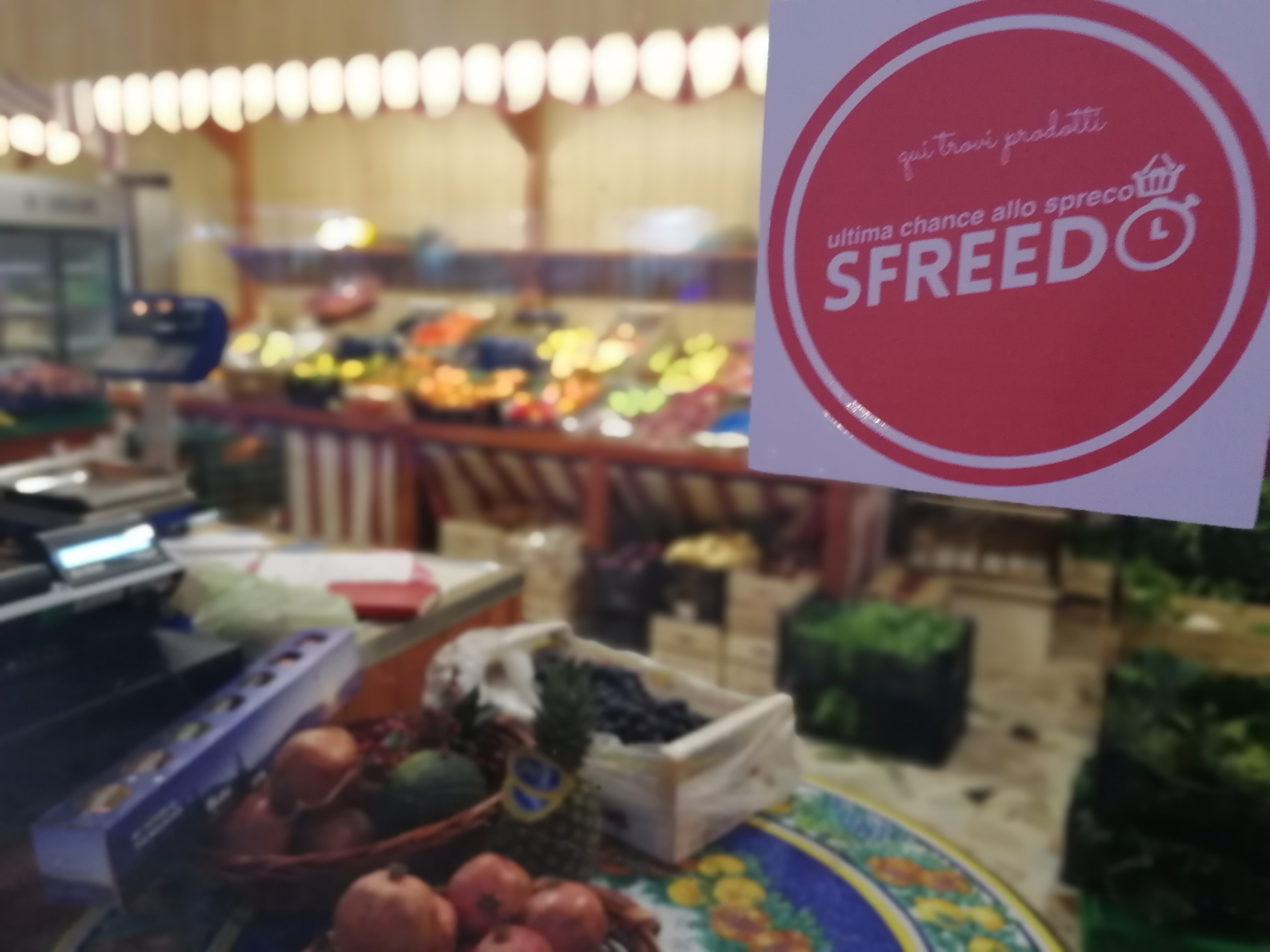 Sfreedo, il servizio per salvare il cibo in esubero - Riciblog