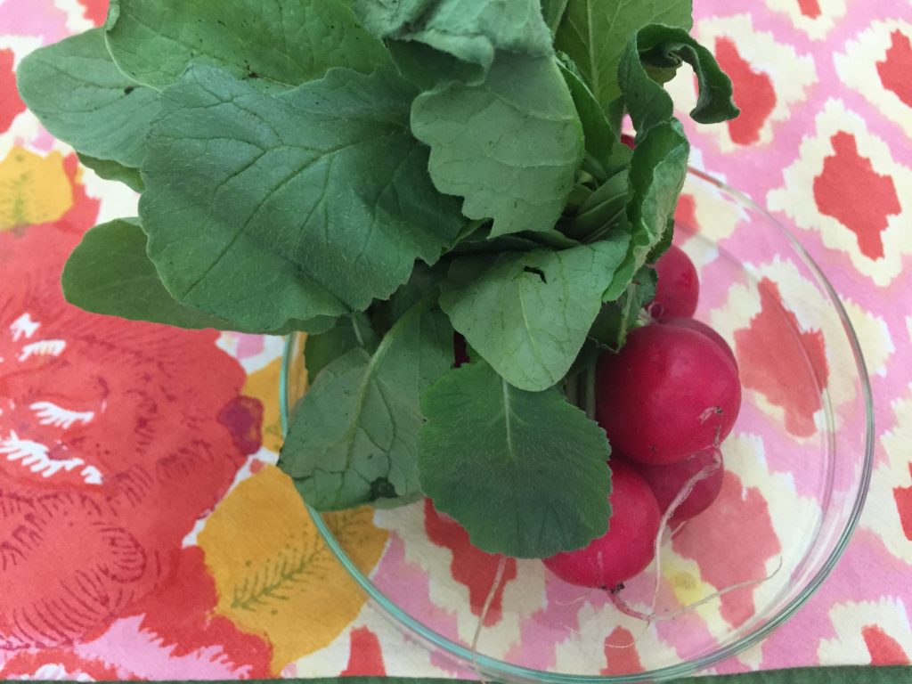 Foglie di ravanelli: la ricetta passo passo del pesto - Riciblog
