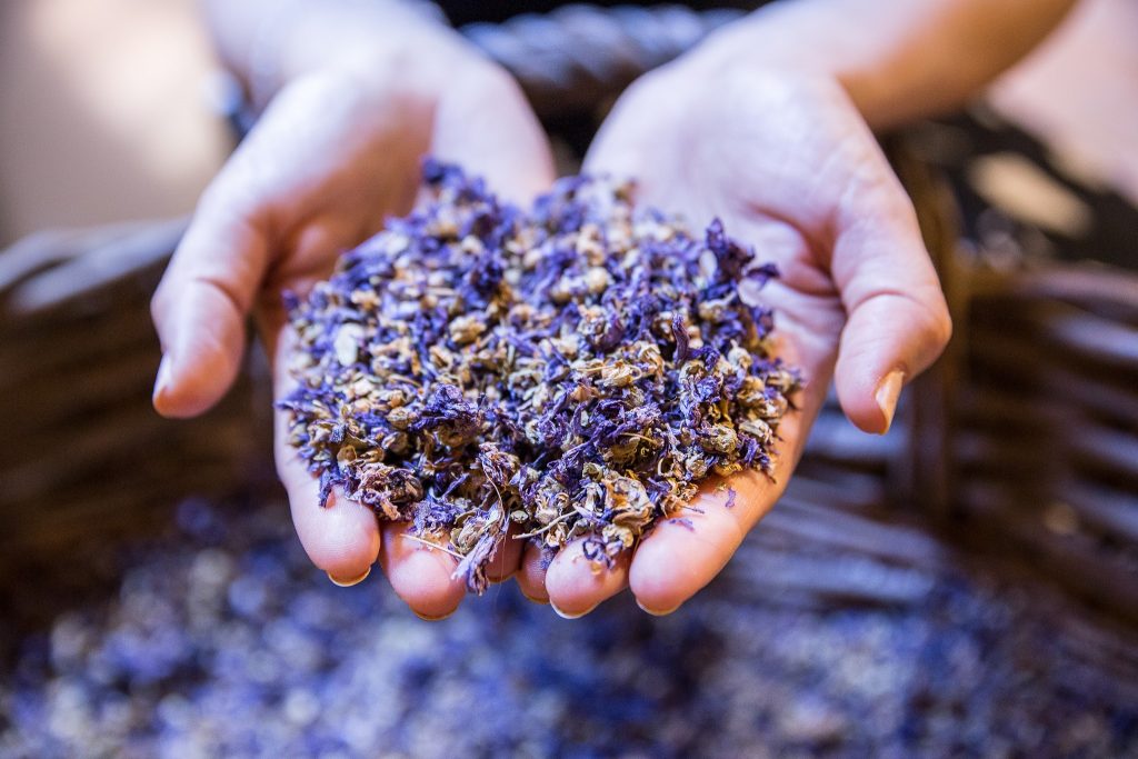 La moda 4.0 con scarti di fiori, frutta e verdura - Riciblog