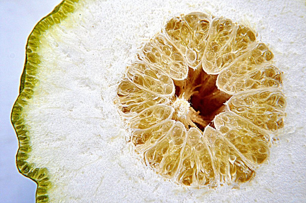 Buccia di limone in cucina: 3 idee di iricette - Riciblog