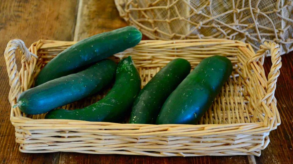 Ricette con buccia di cetriolo - Riciblog