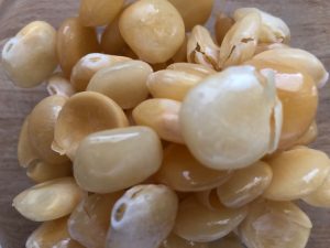 Bucce di lupini come concime naturale - Riciblog