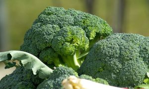5 cose da sapere sulle foglie di broccoli - Riciblog
