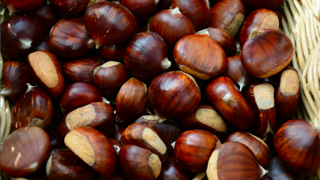 Come conservare le castagne e la loro farina - Riciblog