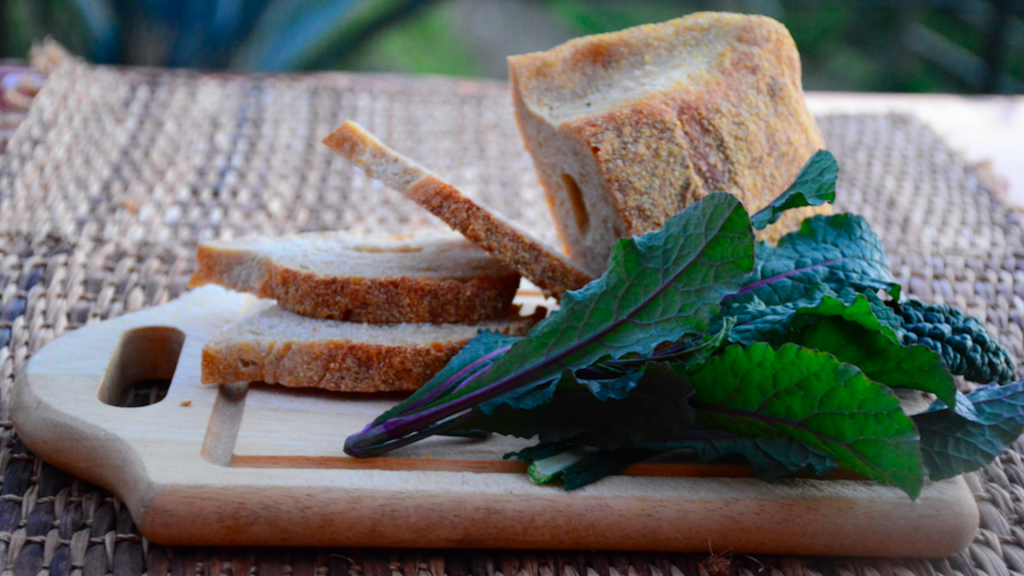 Ricette con cavolo e pane raffermo