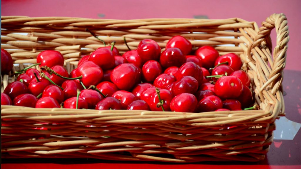 Come usare i noccioli e i piccioli di ciliegia per tisane