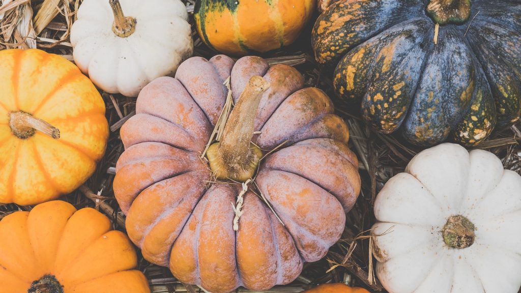 perche non buttare la buccia di zucca