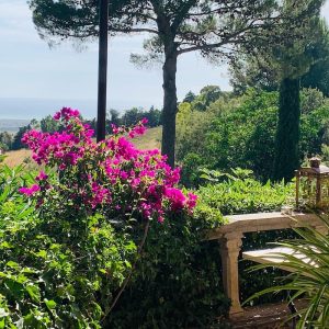 Giardino con fiori del relais di poggio ai santi - Riciblog