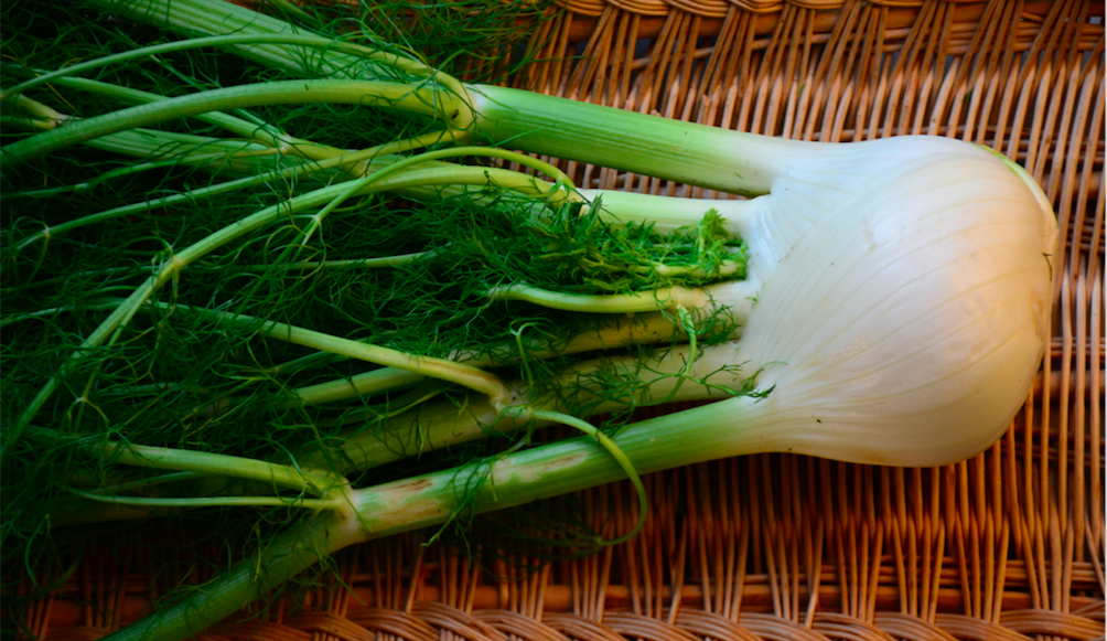 Ricette con le barbe di finocchio - Riciblog