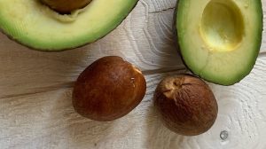 Nocciolo di avocado: abbinamenti in cucina – Riciblog