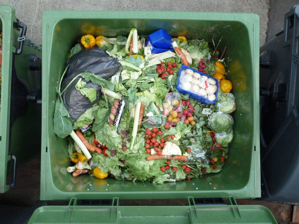 Spreco di cibo - Riciblog