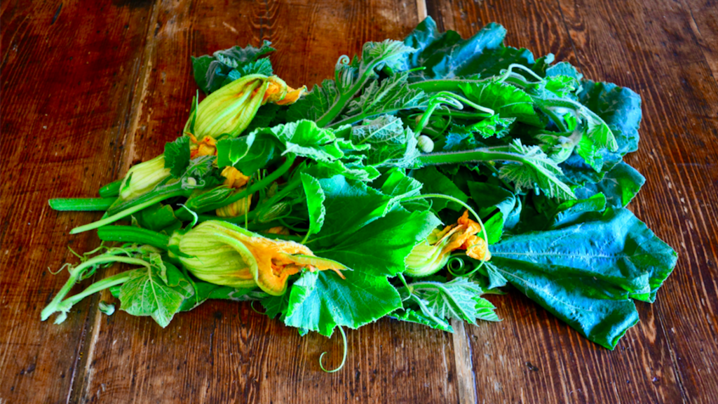 Ricette con le foglie di zucca - Ricicblog