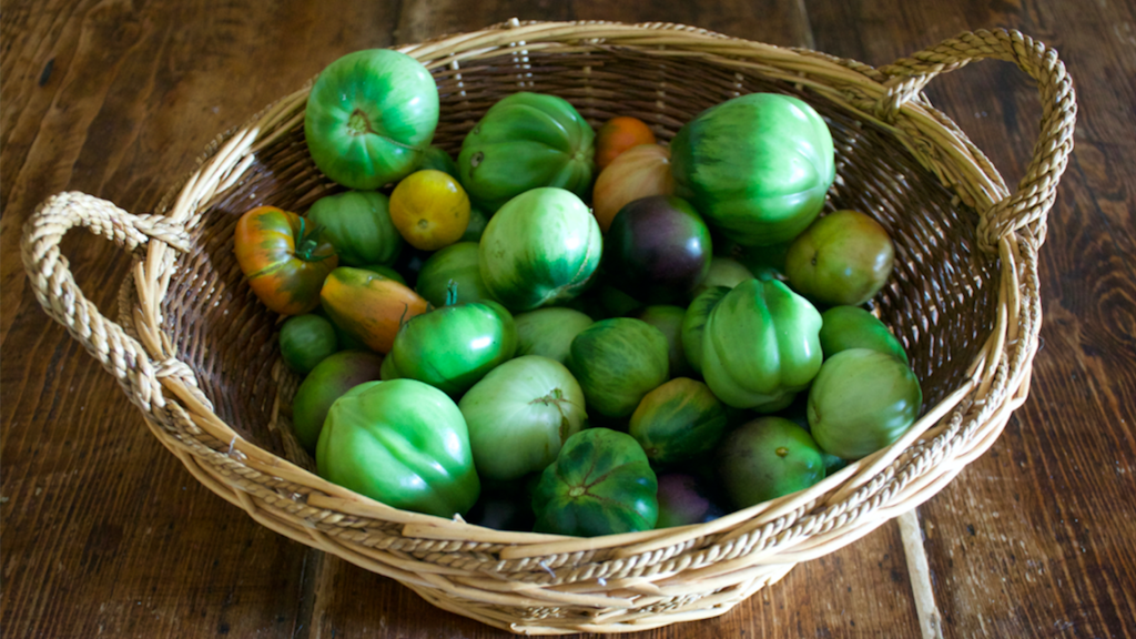 Ricette con pomodori verdi - Riciblog