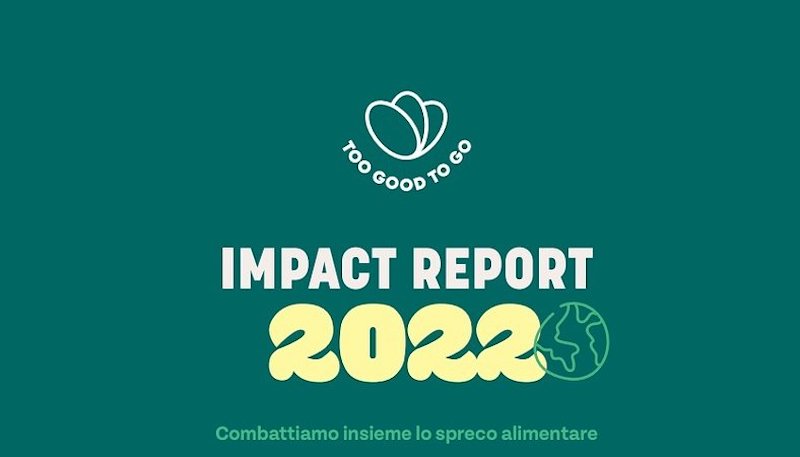 i numeri dell'impact report -riciblog