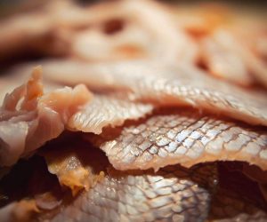 come trasformare la pelle del pesce in pellicola idrosolubile - Riciblog