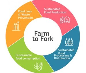 La direttiva Farm to Fork dell'Unione Europea - Riciblog