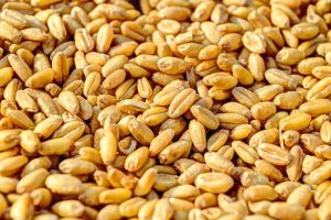 Cereali che si possono consumare dopo scadenza – Riciblog