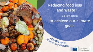 Giornata della consapevolezza sugli sprechi alimentari. Cosa ha fatto l'Ue - Riciblog