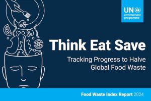Food Waste Index Unep - Riciblog