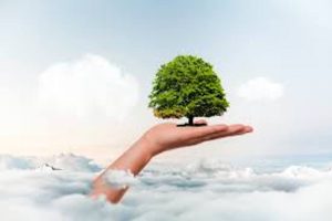 Mondo sostenibile e resiliente - Riciblog