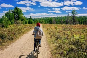 Slow Food e Un Tourism promuovono un turismo gastronomico sostenibile - Riciblog