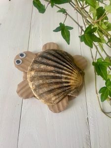 Animaletti con conchiglie di scarto​ - Riciblog