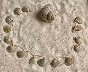 Collane con conchiglie di vongole - Riciblog