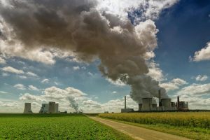 Ripensare radicalmente i sistemi di produzione alimentare - Riciblog