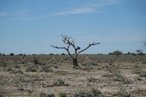 Bisogna salvare i terreni degradati - Riciblog