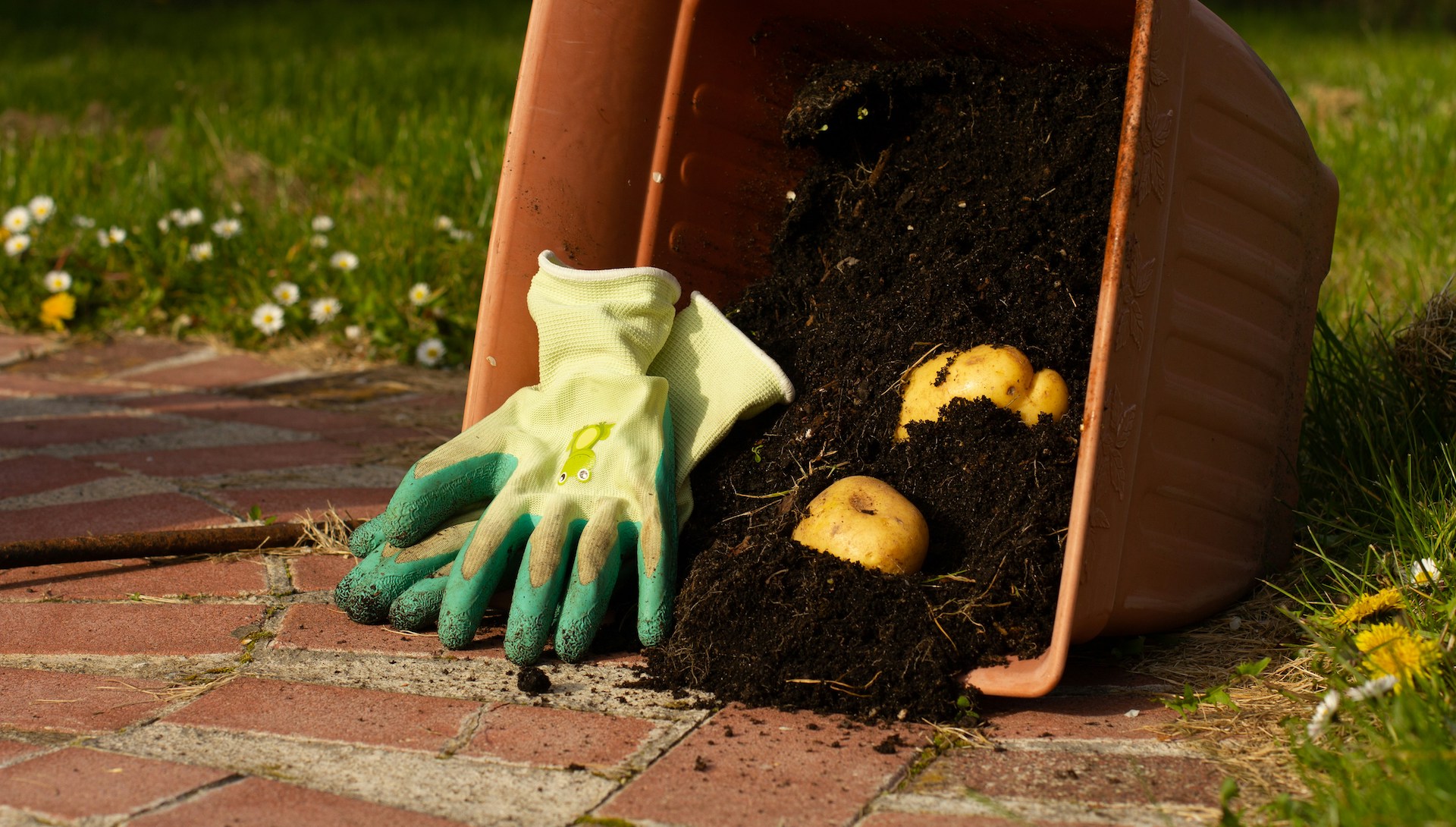 InCompost, il gioco che insegna ai bambini come valorizzare gli scarti