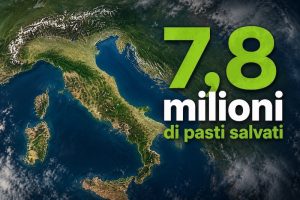 Dati italiani dell'Impact Report - Riciblog