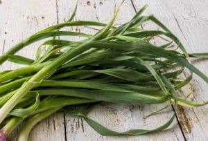 Ricette con talli d'aglio - Riciblog