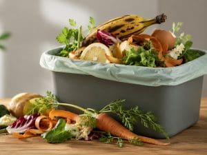 Gli scarti alimentari sono una risorsa preziosa - Riciblog