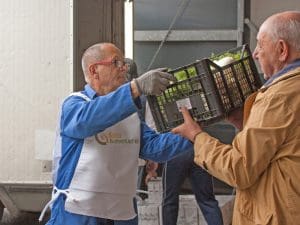 Volontari del Banco Alimentare al lavoro - Riciblog